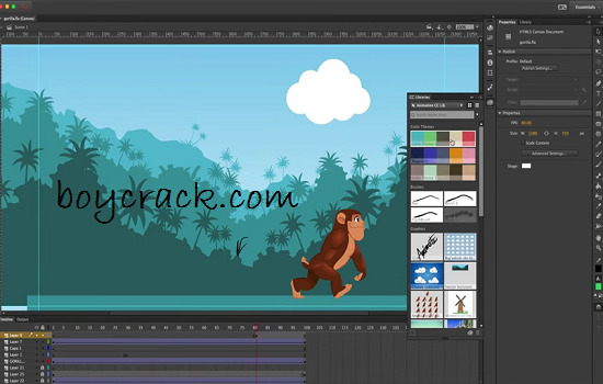 Adobe Animate CC Crack (3)